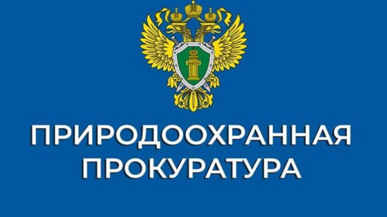 Восточно-Байкальская межрайонная природоохранная прокуратура проверила исполнение лесного законодательства.. Восточно-Байкальская межрайонная природоохранная прокуратура проверила исполнение лесного законодательства..