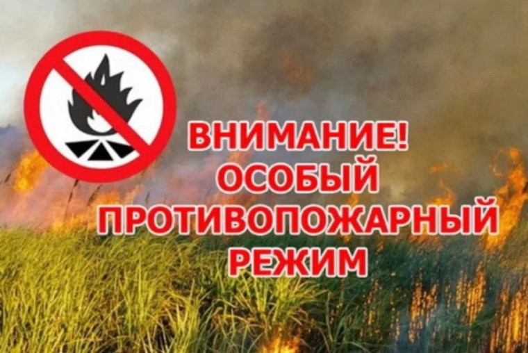 С 8 апреля 2024 г. введен особый противопожарный режим. С 8 апреля 2024 г. введен особый противопожарный режим.